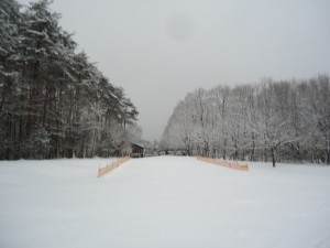 2020年2月18日積雪状況