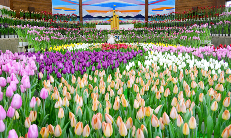 穂高・堀金地区